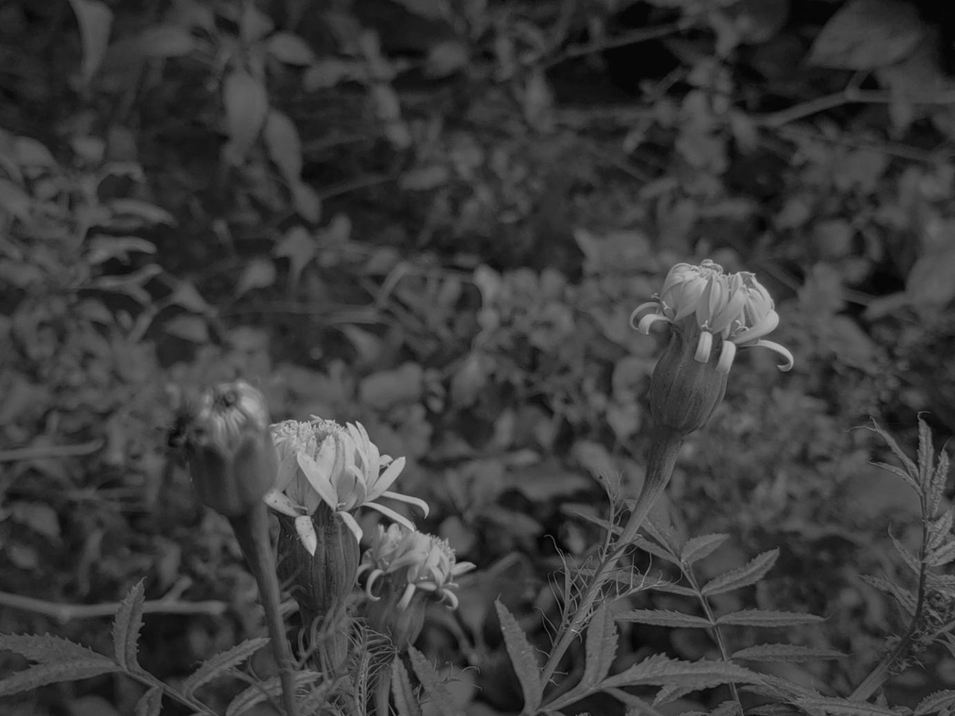 Beautiful botanical arrangement representing our team's collaborative design approach
