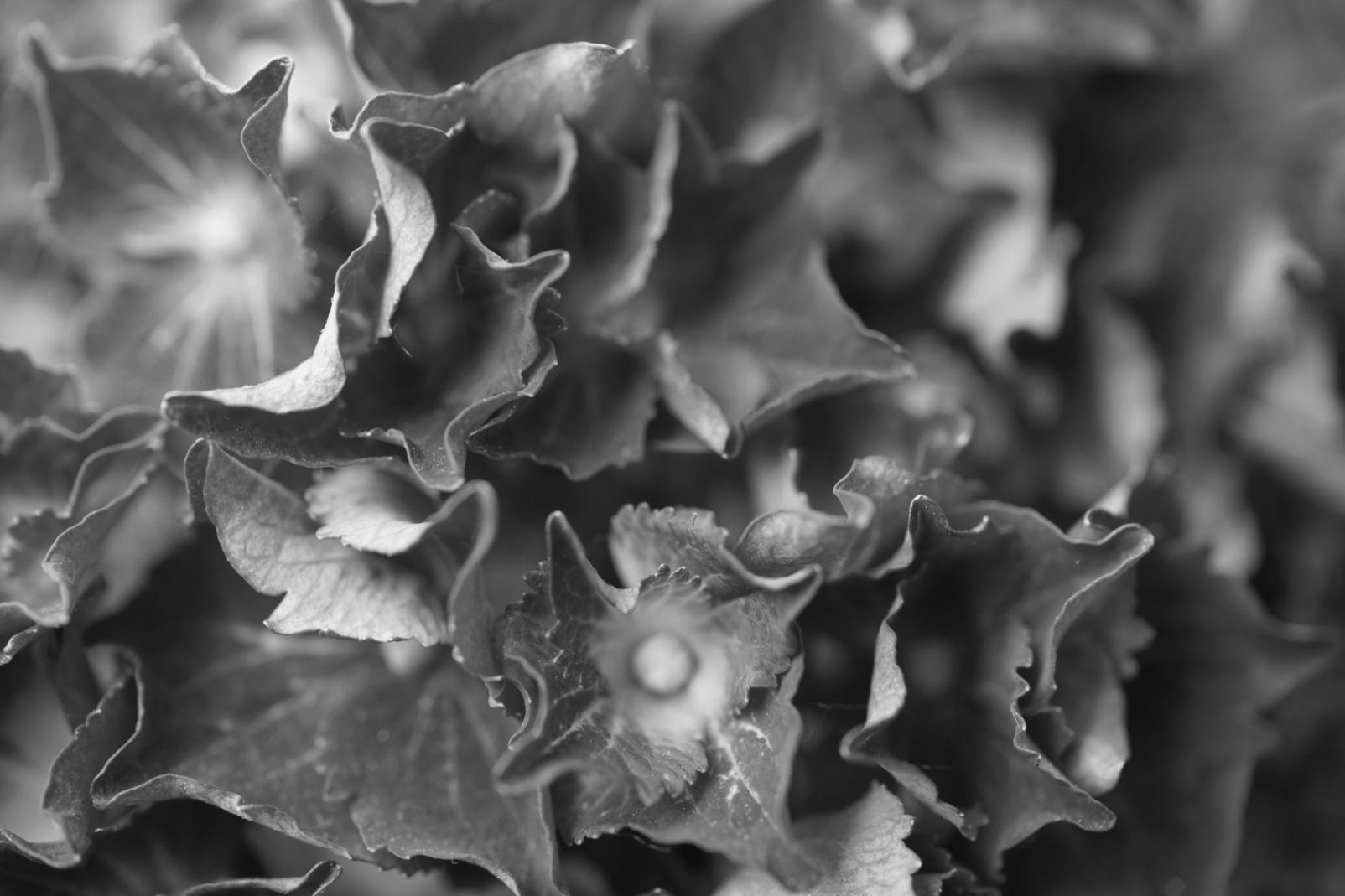 Stunning arrangement of Indonesian native flowers and foliage demonstrating our signature tropical interior design style